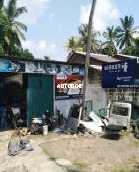 Riyowin auto paint