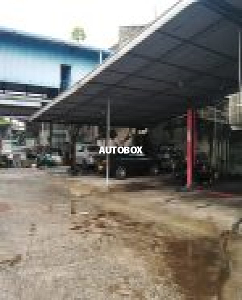 ANURA WORKS
