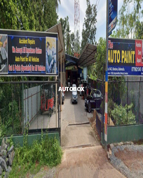The Auto Paint Pvt Limited