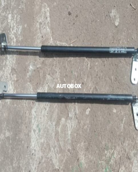 Isuzu Fargo Rear Door Shock for sale