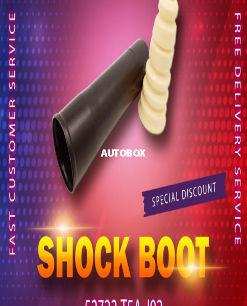 Honda CRV Shock Boot