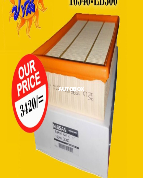 Nissan Navara Air Filter 16546-EB300