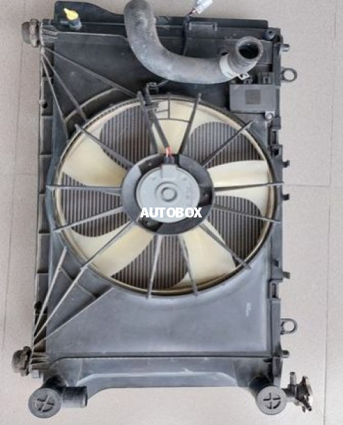 Axio 141 Radiator Complete